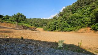 김주희님의 기타작물 · 영농일지 작성글 사진