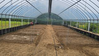 전영순님의 배추 · 영농일지 작성글 사진