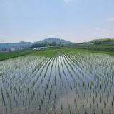 팜모닝 벼·영농일지 게시글 이미지