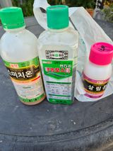 팜모닝 배·영농일지 게시글 이미지