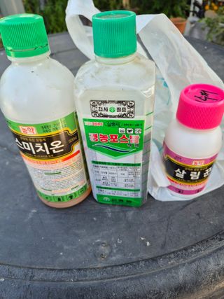 허민성님의 배 · 영농일지 작성글 사진