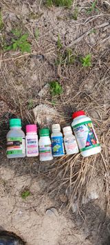 팜모닝 기타작물·영농일지 게시글 이미지