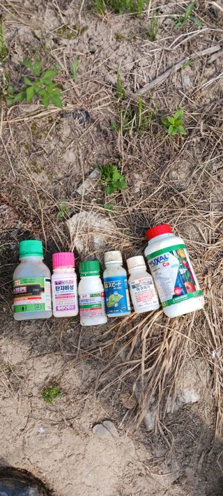 김 연님의 기타작물 · 영농일지 작성글 사진