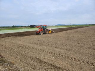 갈미할배님의 콩 · 영농일지 작성글 사진