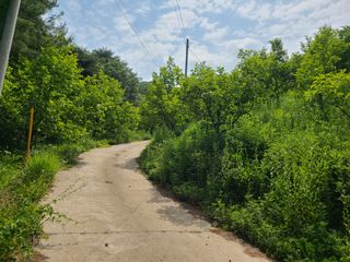 무주설천면 반딧팝님의 기타작물 · 영농일지 작성글 사진