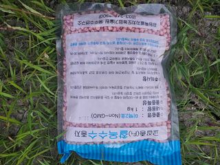 태이린팜님의 옥수수 · 영농일지 작성글 사진