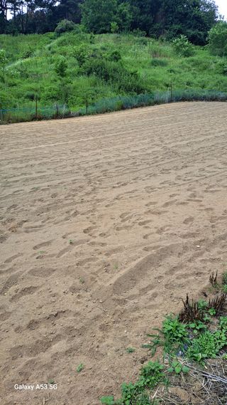 조연만님의 기타작물 · 영농일지 작성글 사진