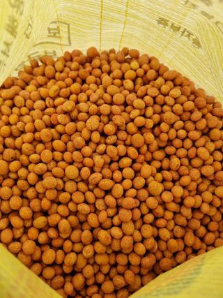 논산푸른팜님의 콩 · 영농일지 작성글 사진