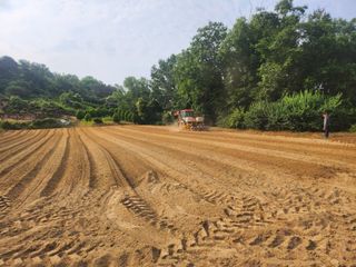 갈미할배님의 콩 · 영농일지 작성글 사진