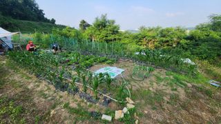 서동욱님의 기타작물 · 영농일지 작성글 사진