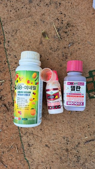 주윤발이님의 배 · 영농일지 작성글 사진