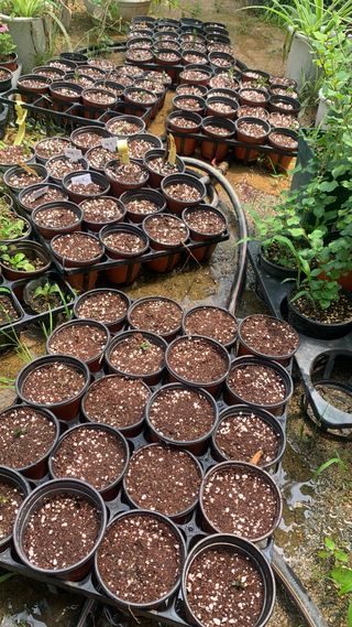 원스피릿팜님의 기타작물 · 영농일지 작성글 사진