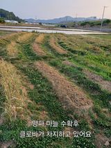 팜모닝 기타작물·영농일지 게시글 이미지