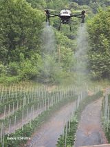 팜모닝 고추·영농일지 게시글 이미지