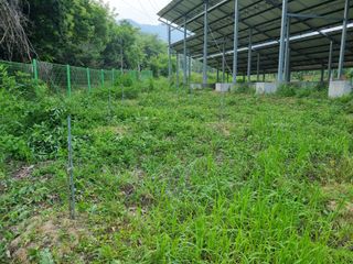 심기섭님의 기타작물 · 영농일지 작성글 사진