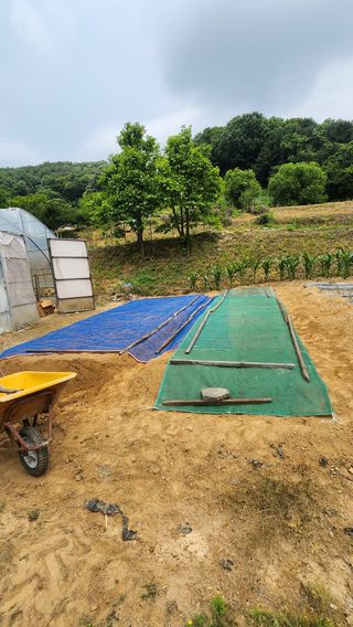 남상호 님의 들깨 · 영농일지 작성글 사진