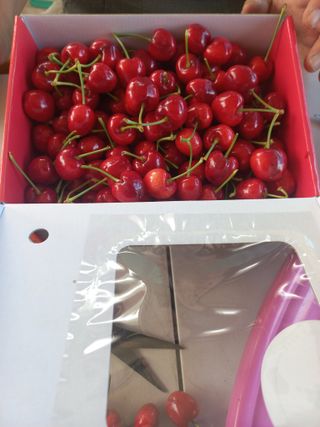 김훈철님의 기타작물 · 영농일지 작성글 사진