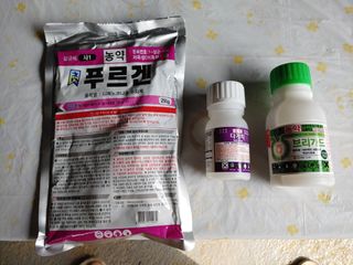 단감당감님의 감 · 영농일지 작성글 사진