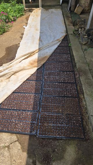 정태권님의 기타작물 · 영농일지 작성글 사진