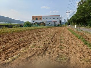 전원수님의 토마토 · 영농일지 작성글 사진