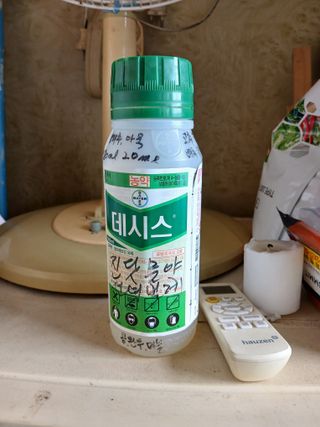 백영호님의 고추 · 영농일지 작성글 사진