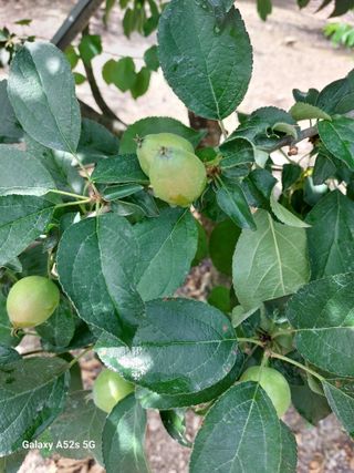 손길준님의 기타작물 · 영농일지 작성글 사진