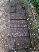 팜모닝 옥수수·영농일지 게시글 이미지