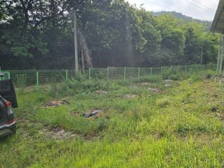 심기섭님의 기타작물 · 영농일지 작성글 사진