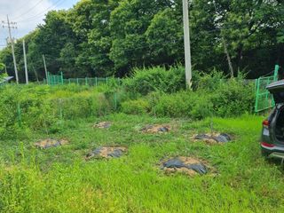 심기섭님의 기타작물 · 영농일지 작성글 사진