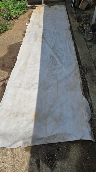 정태권님의 기타작물 · 영농일지 작성글 사진