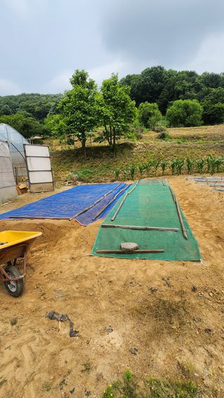 남상호 님의 들깨 · 영농일지 작성글 사진