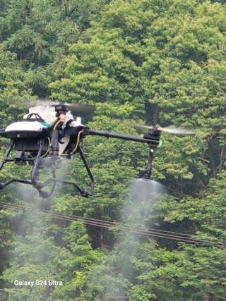 gigibae111님의 고추 · 영농일지 작성글 사진