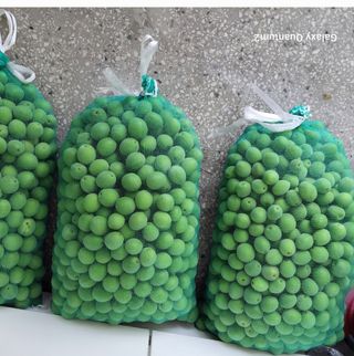 권ㅇㅎ님의 매실 · 영농일지 작성글 사진