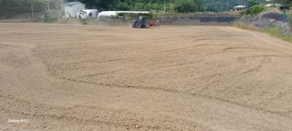 이형근님의 콩 · 영농일지 작성글 사진