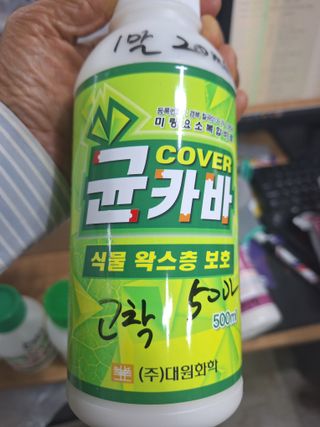 정희군님의 복숭아 · 영농일지 작성글 사진