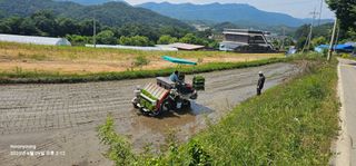 초보농부님의 벼 · 영농일지 작성글 사진