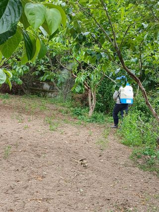 향양농장 사랑합니다님의 상추 · 영농일지 작성글 사진