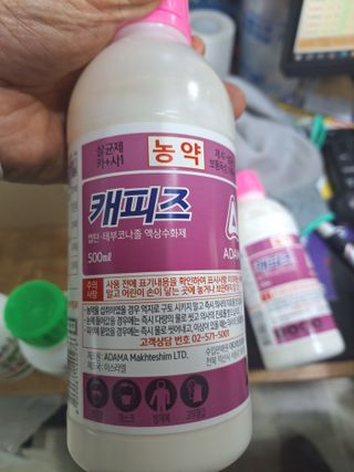 정희군님의 복숭아 · 영농일지 작성글 사진