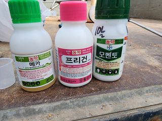 블루베리19104님의 기타작물 · 영농일지 작성글 사진