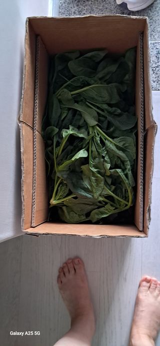 용기님의 작성글 사진