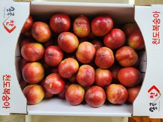 꿀복이농장님의 복숭아 · 영농일지 작성글 사진