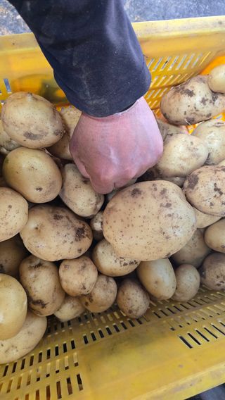 대박농장신초시님의 기타작물 · 영농일지 작성글 사진