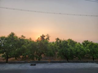 꿀복이농장님의 복숭아 · 영농일지 작성글 사진