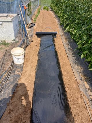 백영호님의 기타작물 · 영농일지 작성글 사진