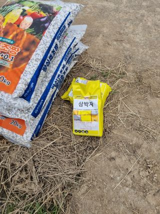 강진귀농10년차님의 벼 · 영농일지 작성글 사진