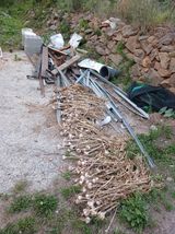 팜모닝 기타작물·영농일지 게시글 이미지