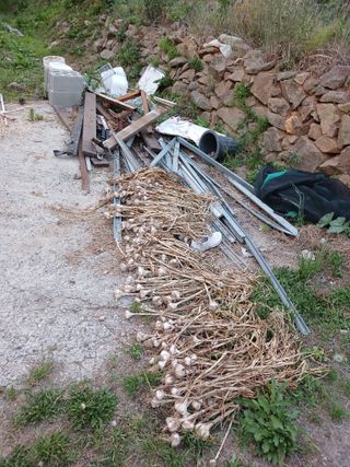 박지성 님의 기타작물 · 영농일지 작성글 사진