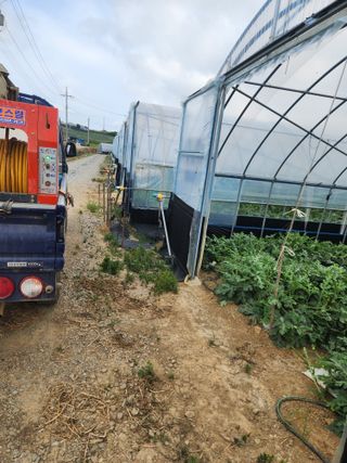 김저팔계님의 기타작물 · 영농일지 작성글 사진