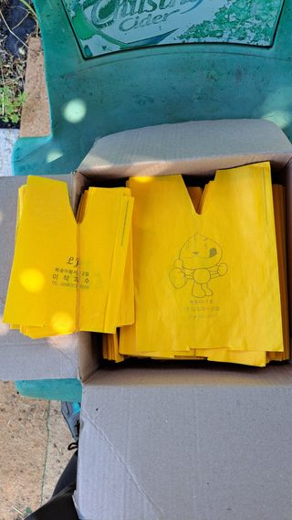 주윤발이님의 복숭아 · 영농일지 작성글 사진