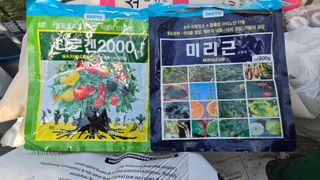 전진원님의 포도 · 영농일지 작성글 사진